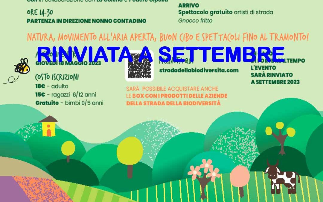 Magnalonga rinviata a Settembre